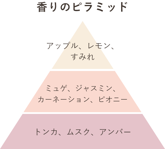 香りのピラミッド アップル、レモン、すみれ ミュゲ、ジャスミン、カーネーション、ピオニー トンカ、ムスク、アンバー